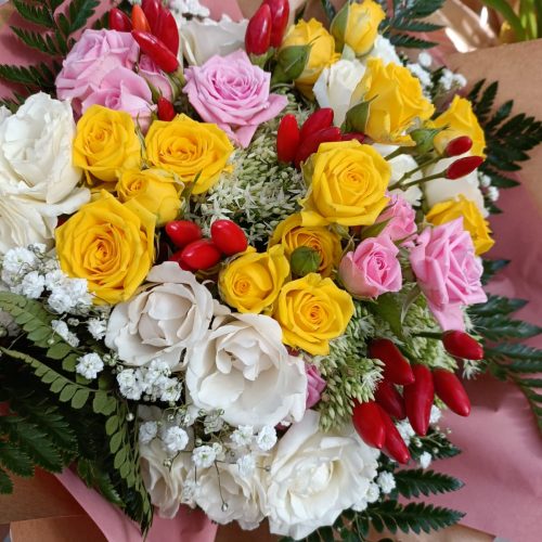IMG-20220911-WA0002