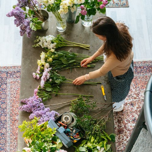 kenzia garden